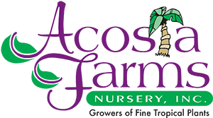 Acosta Farms Wholesale Nursery - 